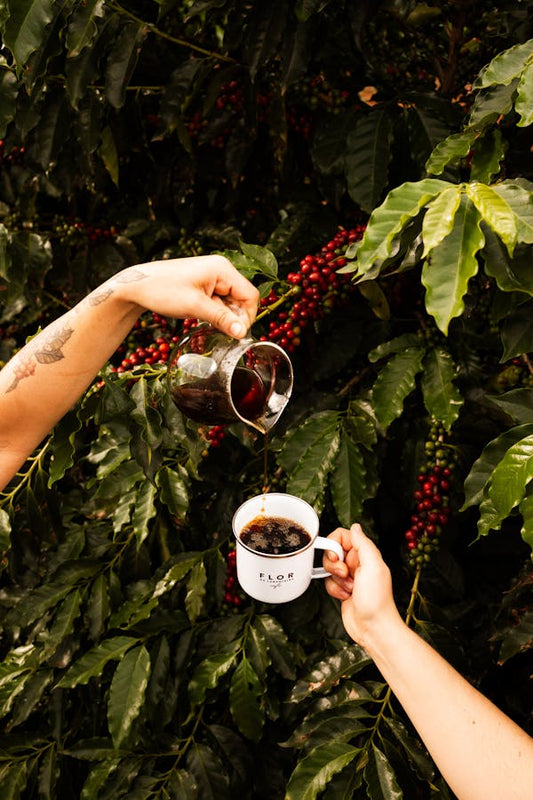 De evolutie van koffie branding: van simpel boerenproduct tot lifestyle keuze